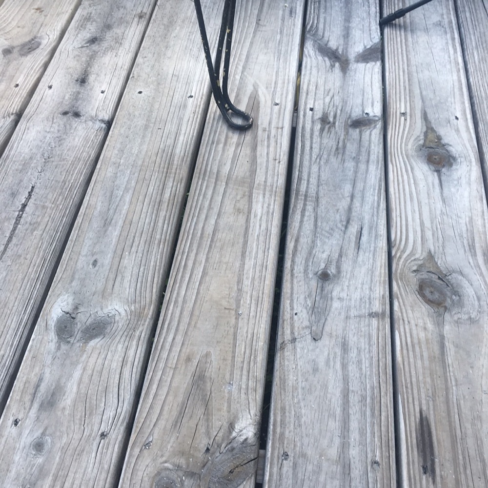 Meet your Posher, Sheena